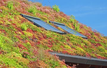 Aveley living roof systems